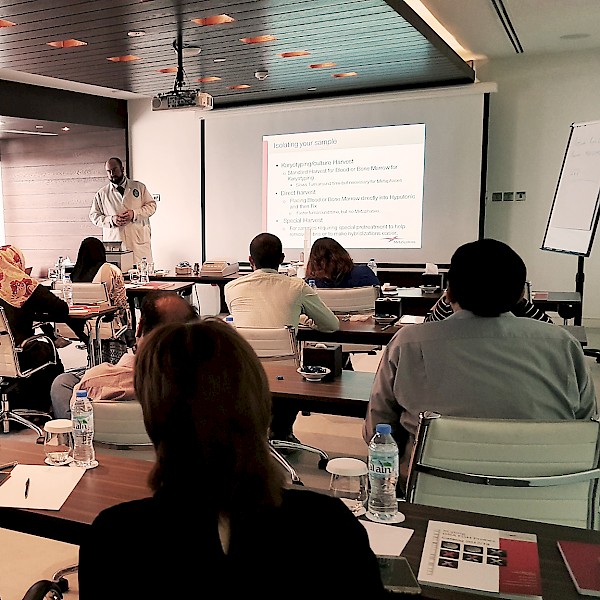 Second MetaSystems Workshop in Dubai